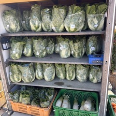 【本日採れた野菜】100円-250円の画像
