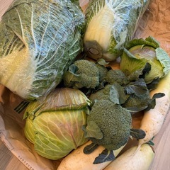 【本日採れた野菜】100円-250円の画像