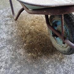 一輪車　ノーパンクタイヤ付き（多分）の画像