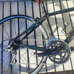 Bianchi　Bergamo　2023年モデル　の画像