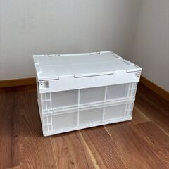 松本産業 折りたたみコンテナ 50L フタ付き（F50IVC）