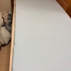 トゥルースリーパー