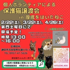 2月！長崎の個人ボランティアによる保護猫譲渡会