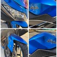 【人気色】Kawasaki ninja250の画像