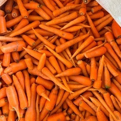 訳あり人参🥕詰め放題350円