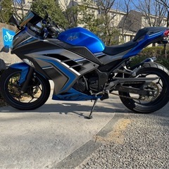 【人気色】Kawasaki ninja250の画像