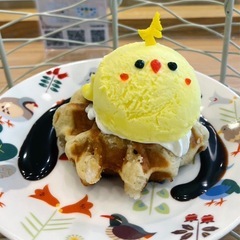 鳥好きさ〜ん🦜一緒に鳥カフェ☕️行きませんか？
