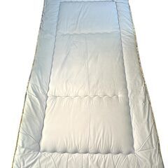 無料引取 0円 中古のシングル布団の画像