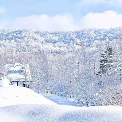 明日！大阪発でスノボいきませんか？