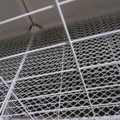 ペット用ケージの画像