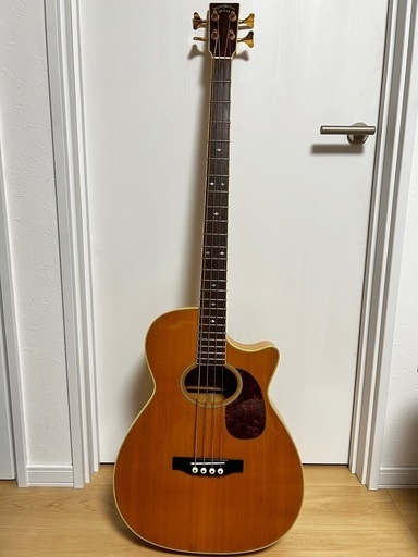 ★特価★エレアコ♪★DEAR DAC−485E★ABSファイバー ☆特価☆エレアコ♪☆DEAR DAC−485E☆ABSファイバー