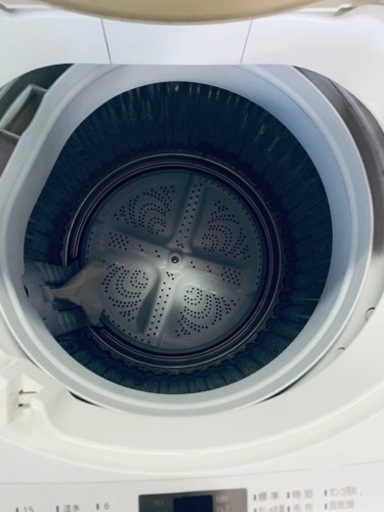 シャープ　全自動電気洗濯機 ES-GEZA-N