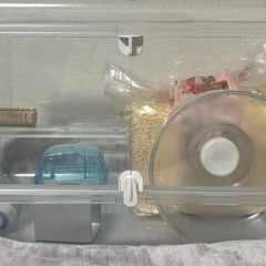 アクリル ゲージ 爬虫類 両生類 写真は参考です