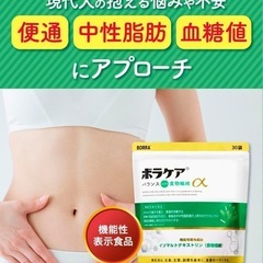 食物繊維 パウダー サプリ 【 中性脂肪 血糖値 便通 にアプローチ 】 30包の画像