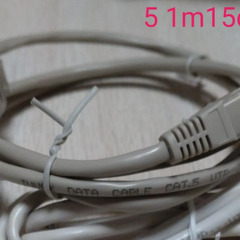 LANケーブル　1m　セット売り　2本 CAT5Eの画像