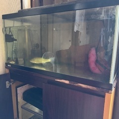 水槽フルセットの中古が安い！激安で譲ります・無料であげます｜ジモティー