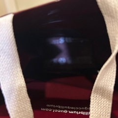 GUCCI ショッパーの画像