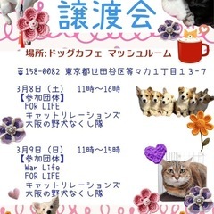 🌸🐶😺世田谷　保護犬猫の譲渡会😺🐶🌸 - イベント