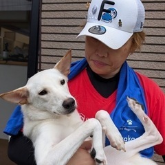 🌸🐶😺世田谷　保護犬猫の譲渡会😺🐶🌸 − 東京都