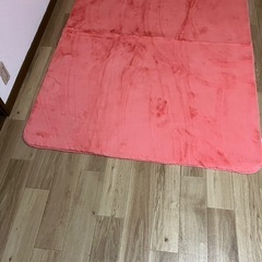 カーペット