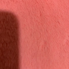 カーペットの画像