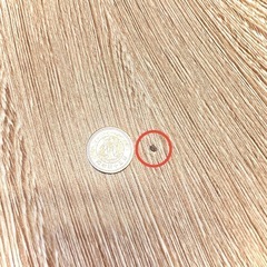 90cm 円形 ダイニングテーブル 木製 ホワイトナチュラルの画像