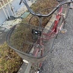 自転車 