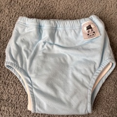 お譲り先決まりました　トイレトレーニングパンツ　6層　恐竜　100の画像