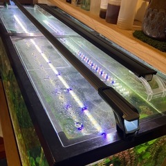 値下げ！水槽 120cm.高さ60cm.奥行き45cm.の画像