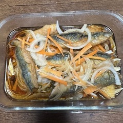 鮮魚の画像