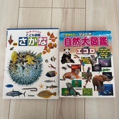 図鑑　6冊の画像