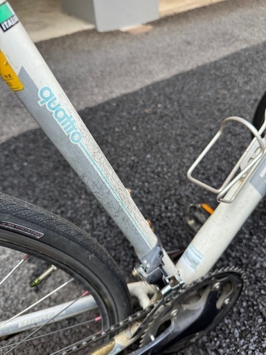 ビアンキ カメレオンテ4 BIANCHI CAMALEONTE4 ALCARBON (Aki) 目白の 