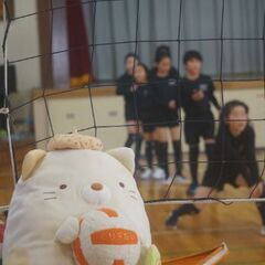 川崎市麻生区で活動している小学生バレーボールクラブです。運動が大好きな小学生を募集しています！ - スポーツ