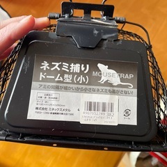 ねずみとり(小)の画像