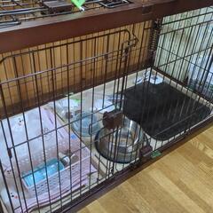 ペット　ケージ　犬の画像