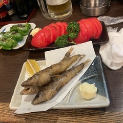 気軽に乾杯できる友達募集中🍺