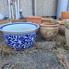 ・終了・植木鉢あげます