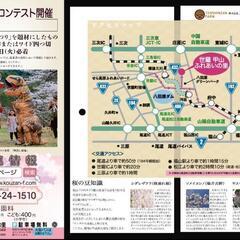 マルシェ出店者募集です🎶 - イベント