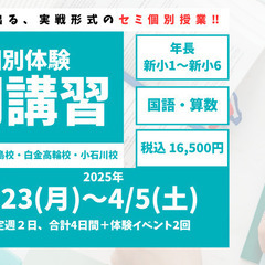 【RISU塾茗荷谷・大塚校】2025年セミ個別指導型春期講習