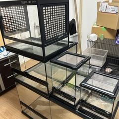 グラステラリウムナノの中古が安い！激安で譲ります・無料で