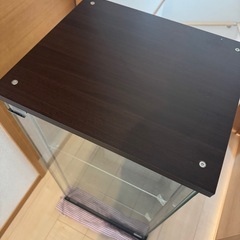 コレクションケースの画像