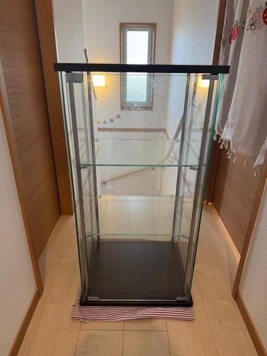 コレクションケース