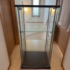 コレクションケースの画像