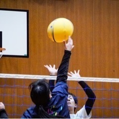 2月18日ソフトバレーメンバー募集‼️