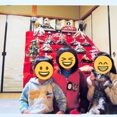 ひな人形をもらってください。