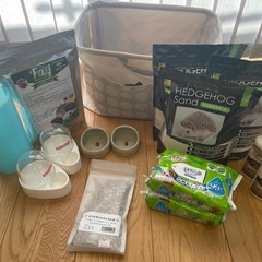 ハリネズミ　飼育セット