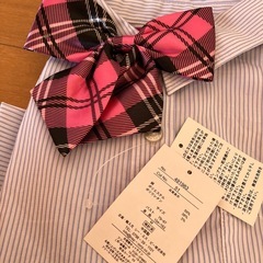 リボンシャツ、短パン、スカートの画像