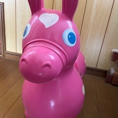 ロディーのバウンサーの画像