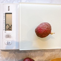 種芋(シャドークイーン・アンデスレッド)の画像