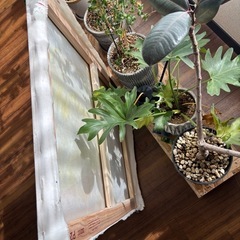 油絵　象　大型　80x60 cm 油絵 象 大型 80x60 cm